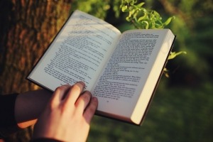 comprensión lectora en inglés