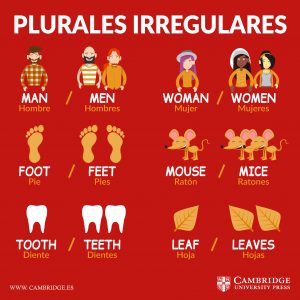 plurales-irregulares-ingles