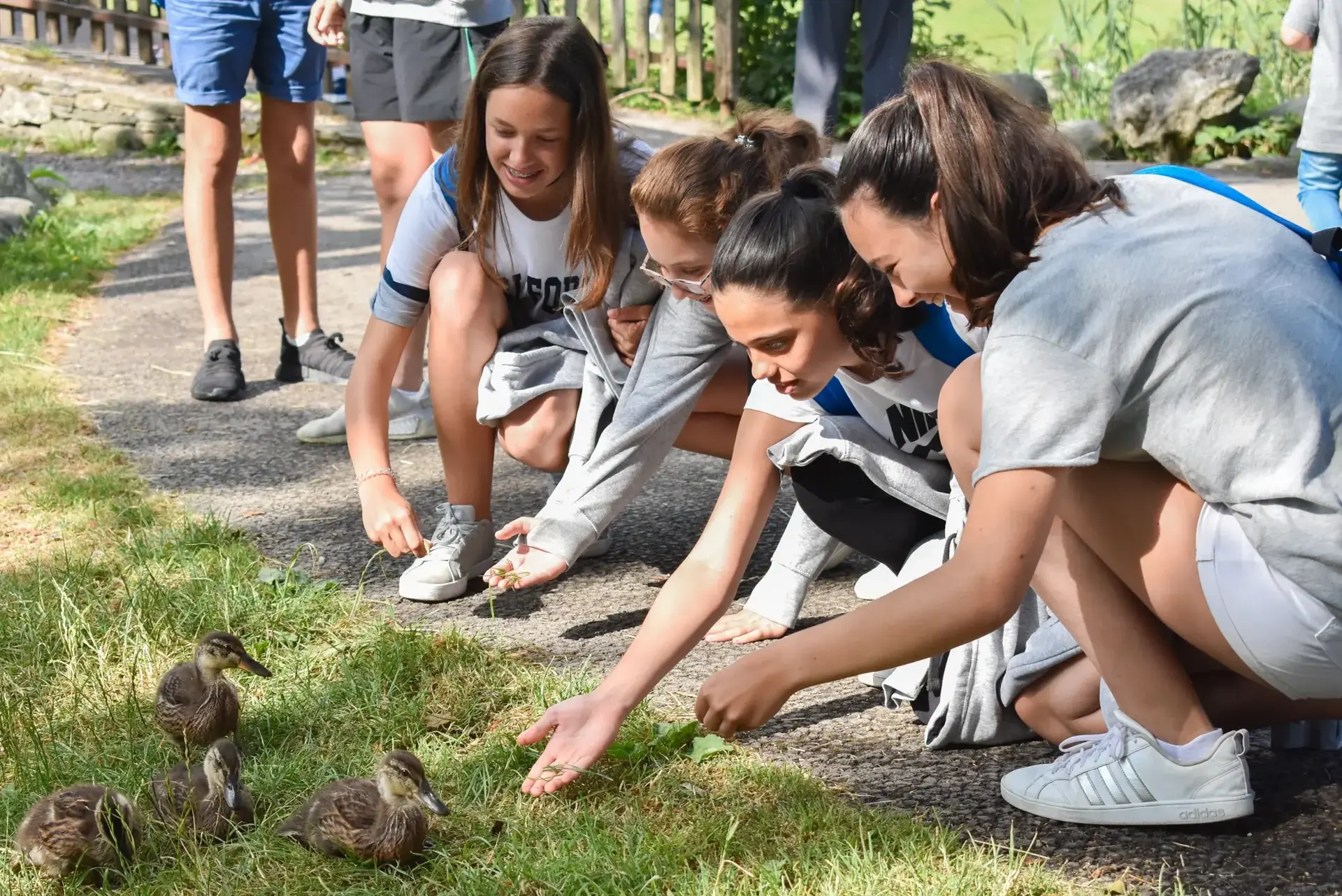 1.2 CAMPAMENTOS EN EL EXTRANJERO