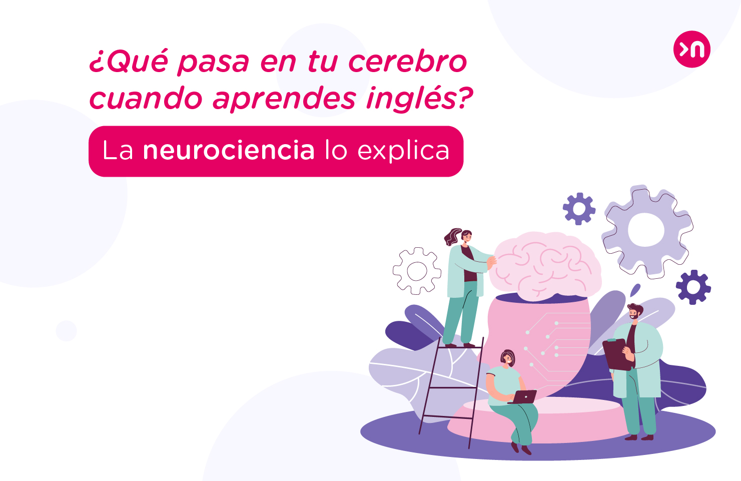 que pasa en tu cerebro cuando aprendes ingles