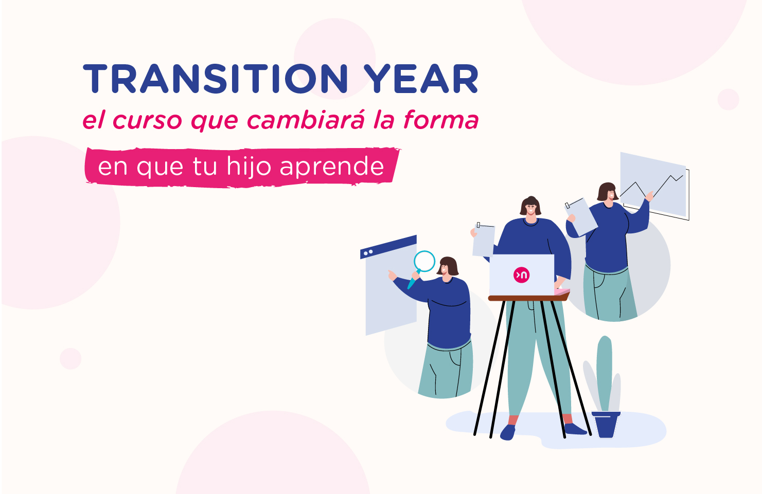 Transition Year en Irlanda