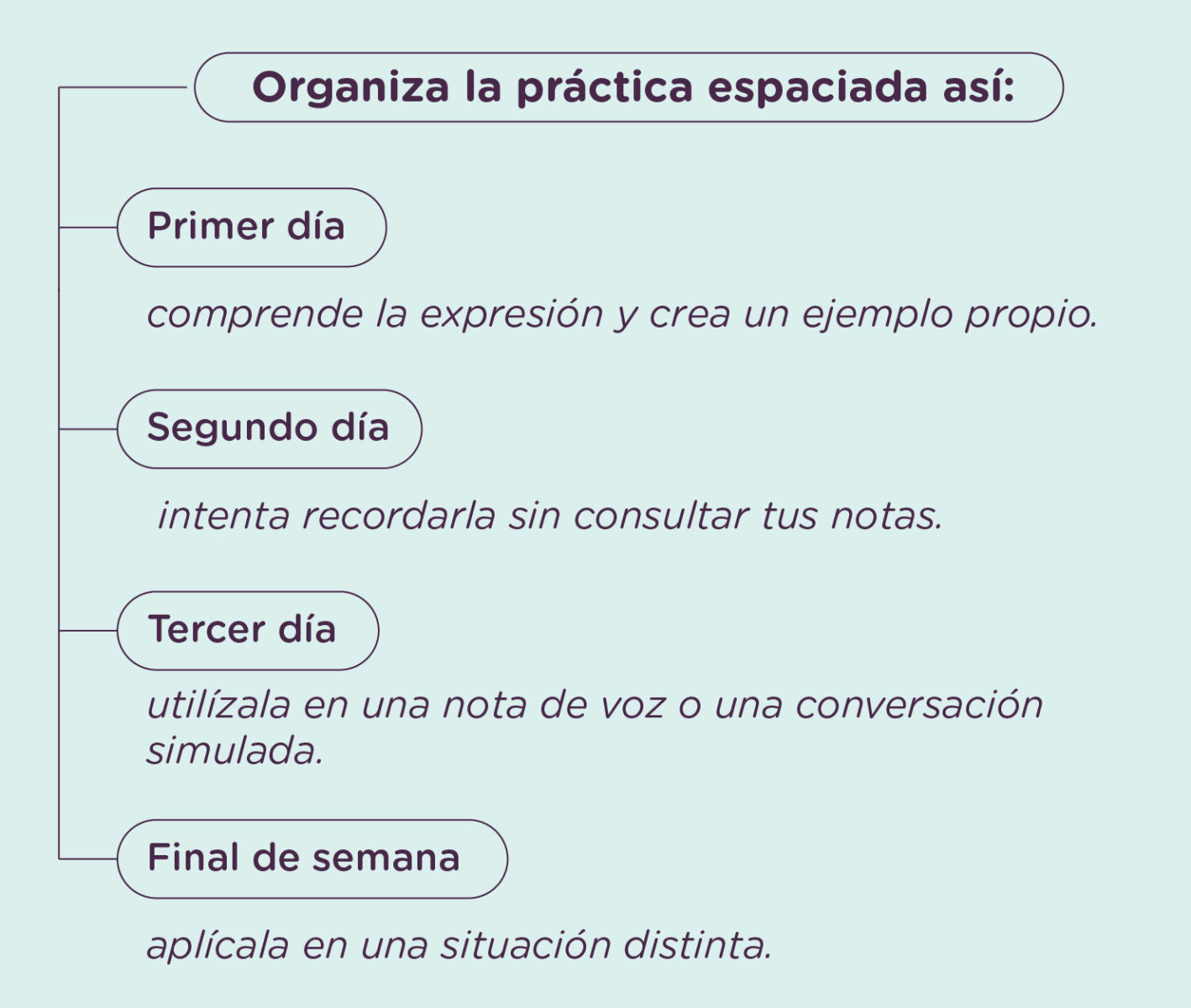 Inglés profesional 9 microtécnicas prácticas